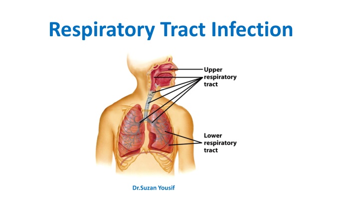 Respiratory Tract Infections: Causes and Prevention