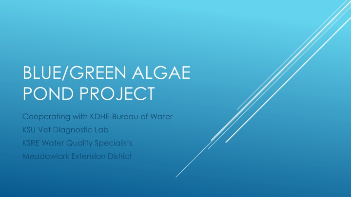 Innovative Algae Pond Project Collaboration in Kansas
