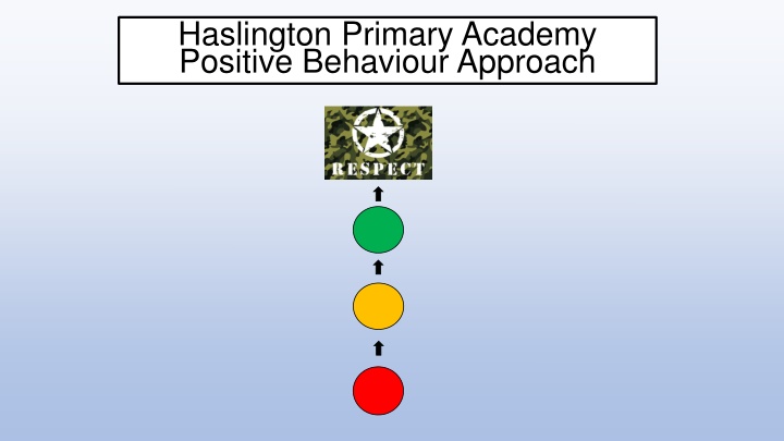 Positive Behaviour Approach at Haslington Primary Academy