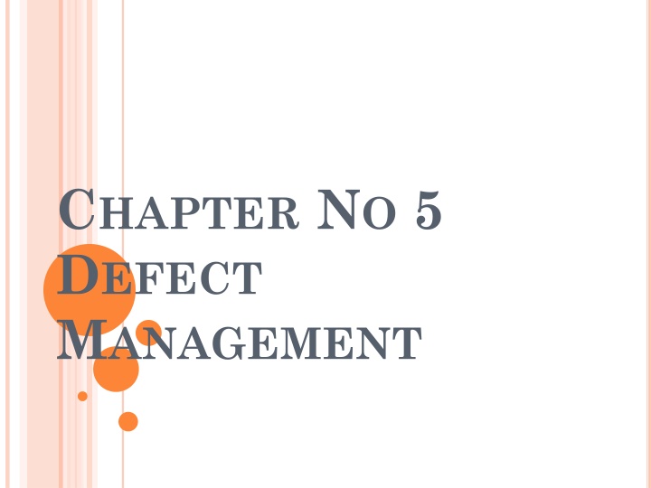Software Defect Management