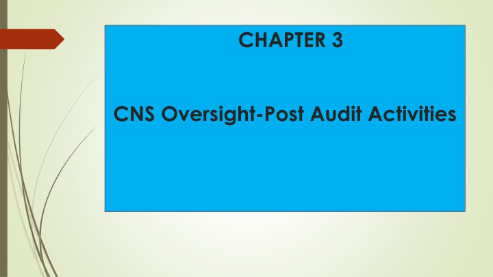 Post-Audit Activities in CNS Oversight: Overview and Procedures