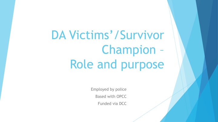 DA Victims/Survivor Champion Role and Purpose in Durham and Darlington