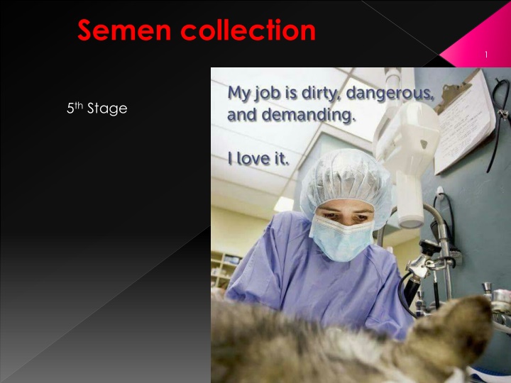 Various Methods of Semen Collection in Animals