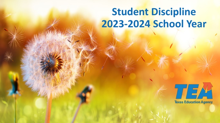 Important Updates on Student Discipline and Education Codes in Texas