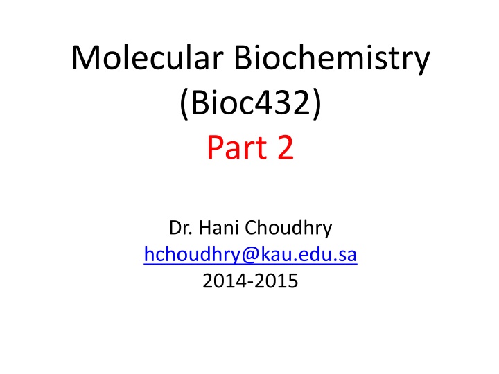 DNA Replication: Models and Process Overview