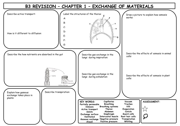 Biology Revision Notes on Exchange, Transport, and Homeostasis