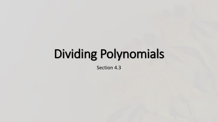 Polynomial Division Methods