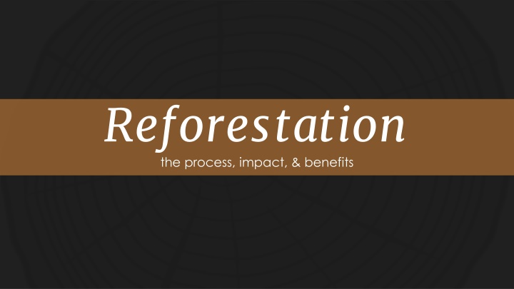 Reforestation: Process, Impact, and Benefits