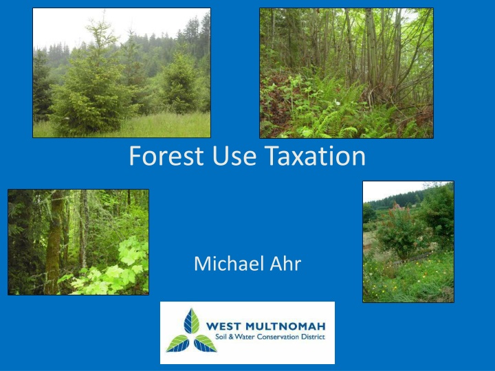 Forest Taxation and Management Guide for Property Owners