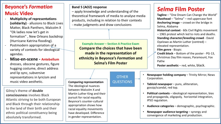 Analysis of Ethnic Representation in Beyoncé's 