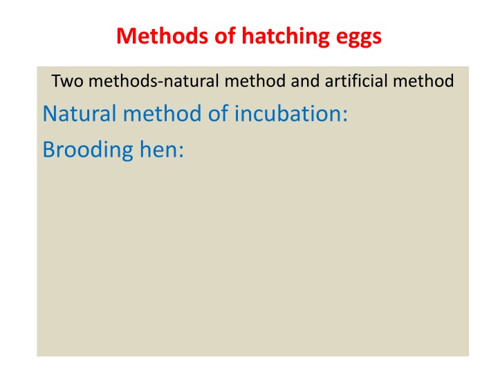 Methods of Hatching Eggs: Natural and Artificial Incubation Techniques