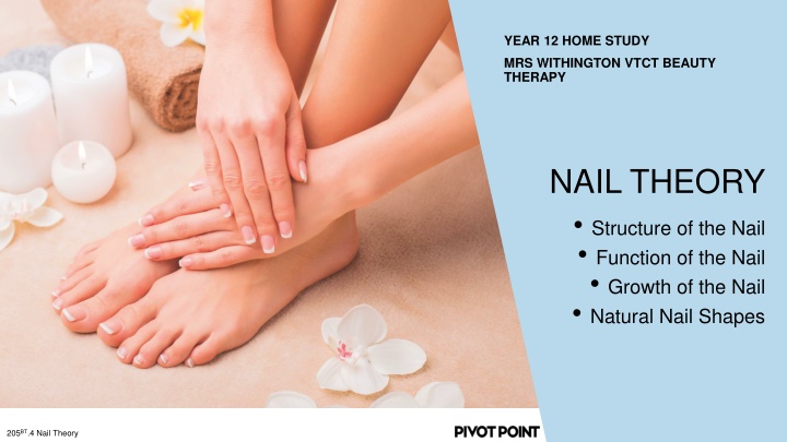 NAIL THEORY