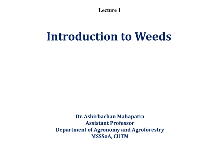 Introduction to Weeds