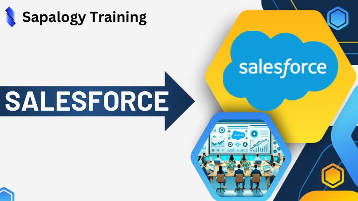 sapalogy training n.w