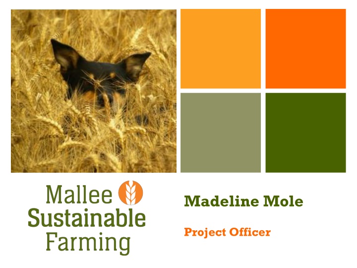 Mallee Sustainable Farming - Empowering Agriculture in Southeastern Australia