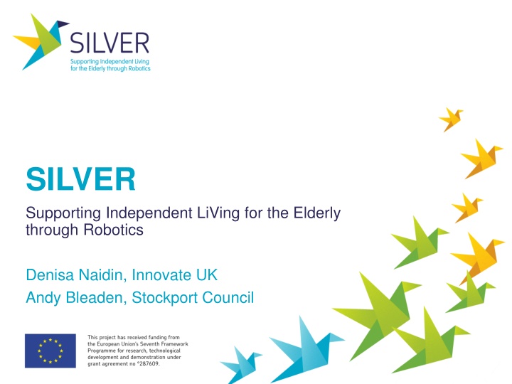 SILVER Project: Robotics for Elderly Care Innovation