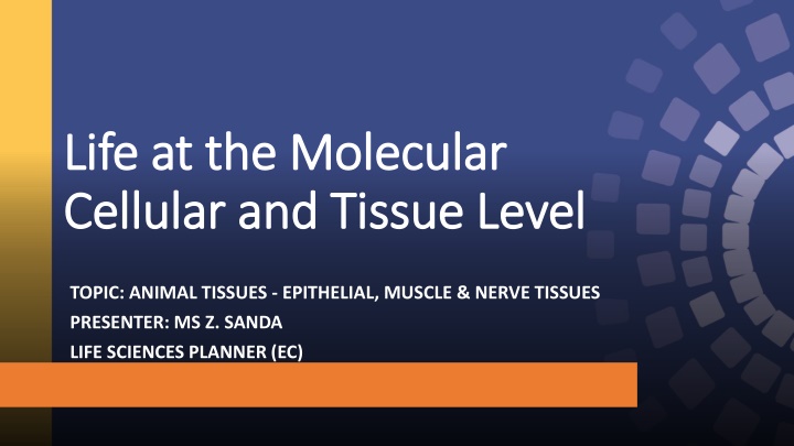 Animal Tissues: Epithelial, Muscle & Nerve Tissues
