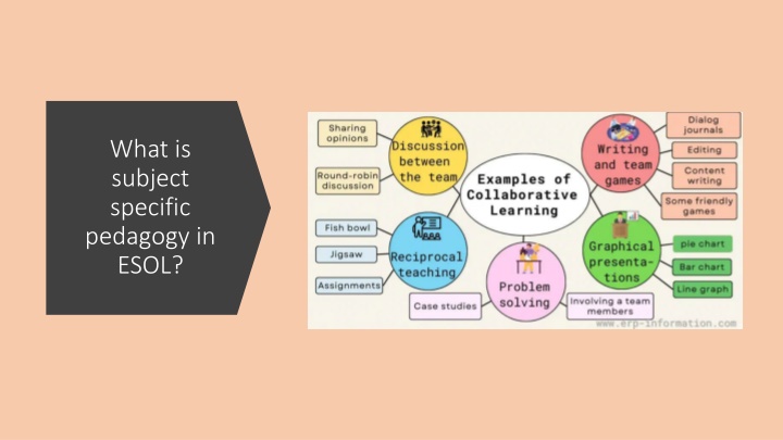 ESOL Pedagogy: Subject-Specific Approaches and Principles