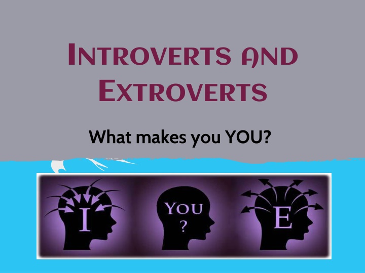 Introverts, Extroverts, and Ambiverts: Myths and Realities