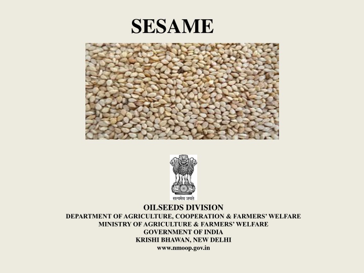 Overview of Sesame Cultivation in India: Insights and Statistics