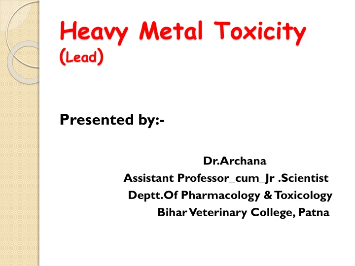 Lead Toxicity: Sources, Symptoms, and Treatment in Animals