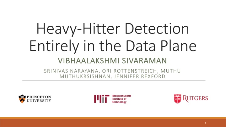 Data Plane Heavy Hitter Detection and Switches: A Comprehensive Overview