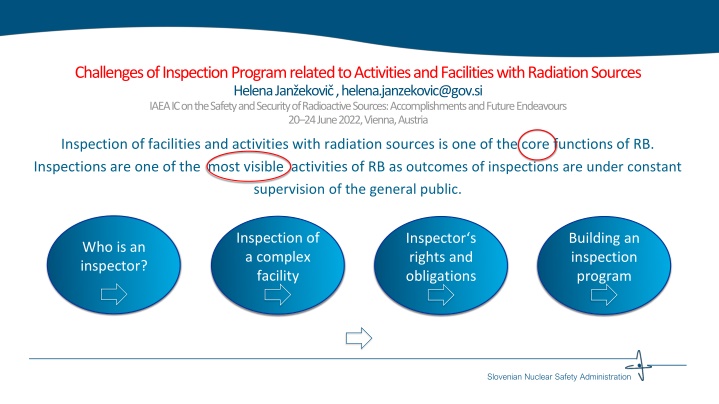 Challenges of Inspection Program Related to Radiation Sources Facilities