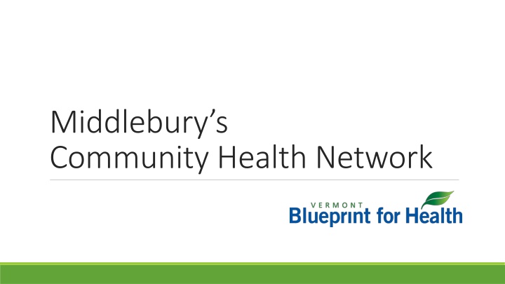 Community Health Networks in Blueprint Communities