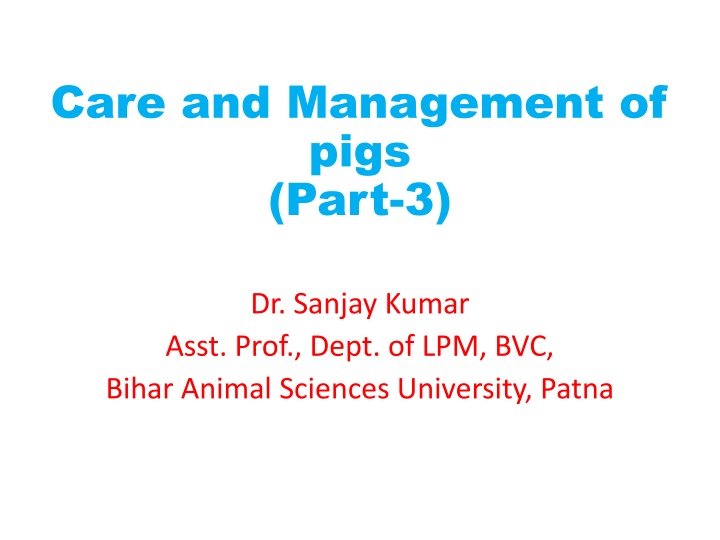 Care and Management of Pigs: Pregnancy, Farrowing, and Piglets