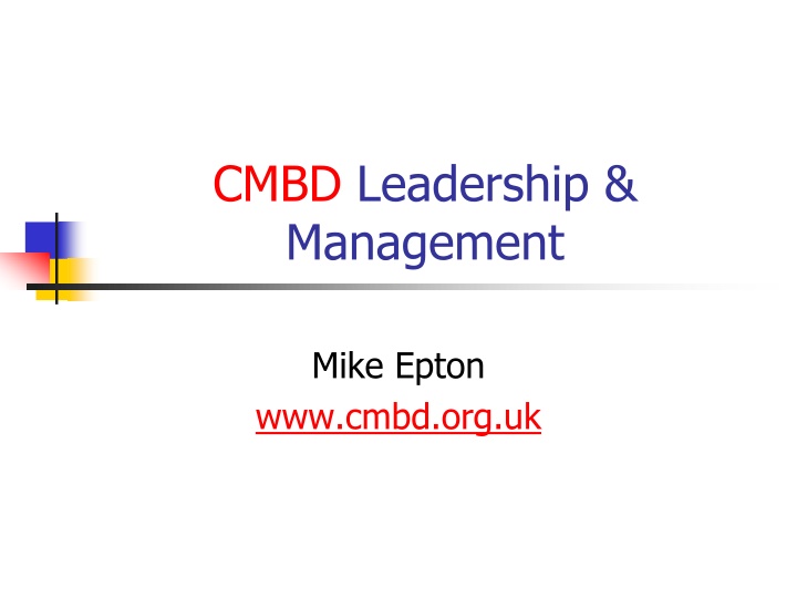 Leadership and Management Insights: Skills, Traits, and Theories