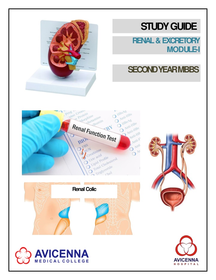 Study Guide for Renal and Excretory System Module - Avicenna Medical College
