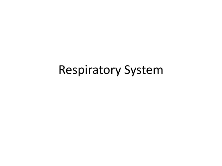 The Respiratory System and Its Functions