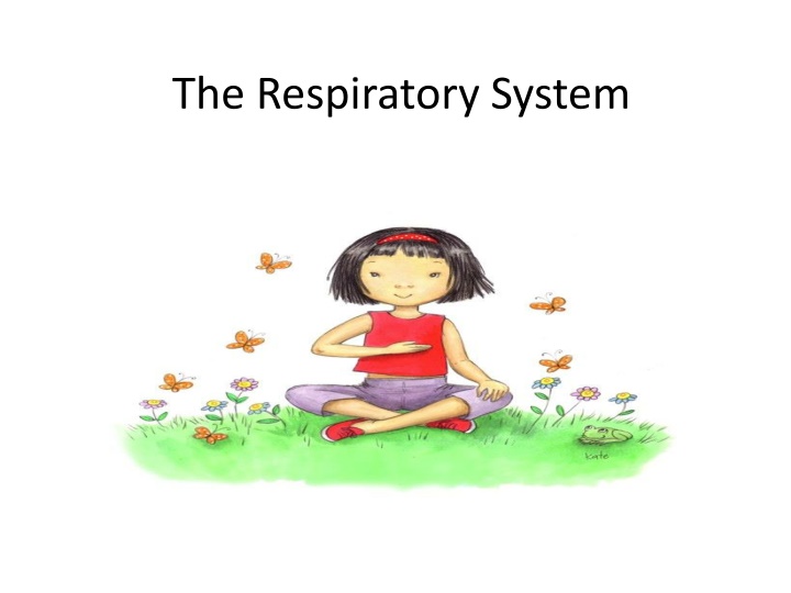 The Respiratory System and Importance of Breathing