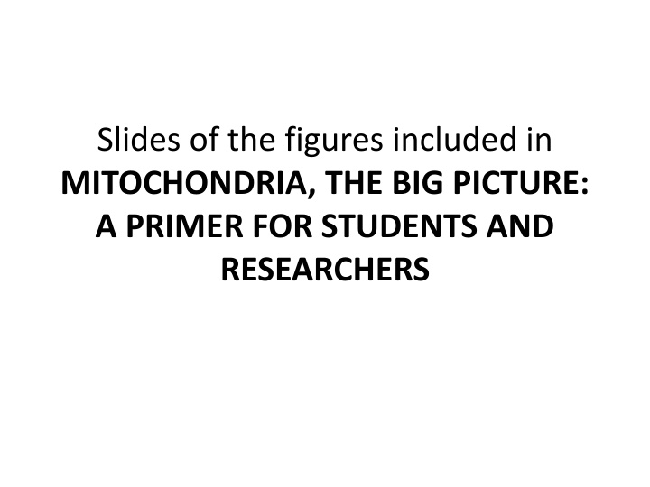 Mitochondria: A Visual Overview for Researchers