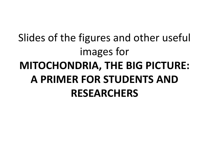 Mitochondria: Images and Insights for Researchers