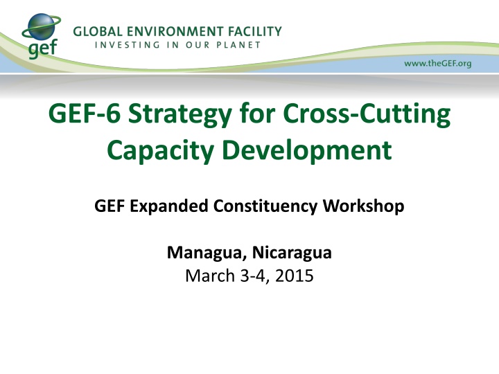 Capacity Development Strategies and Examples in Environmental Management