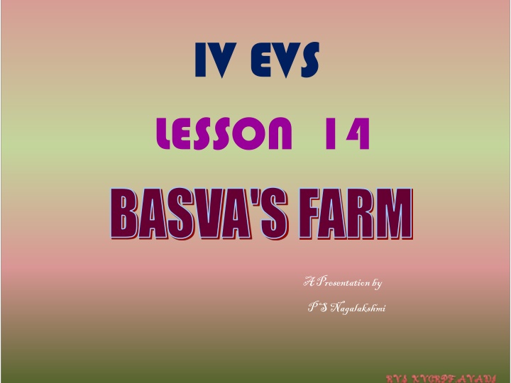 Basva's Farm - A Visual Journey Through Onion Cultivation