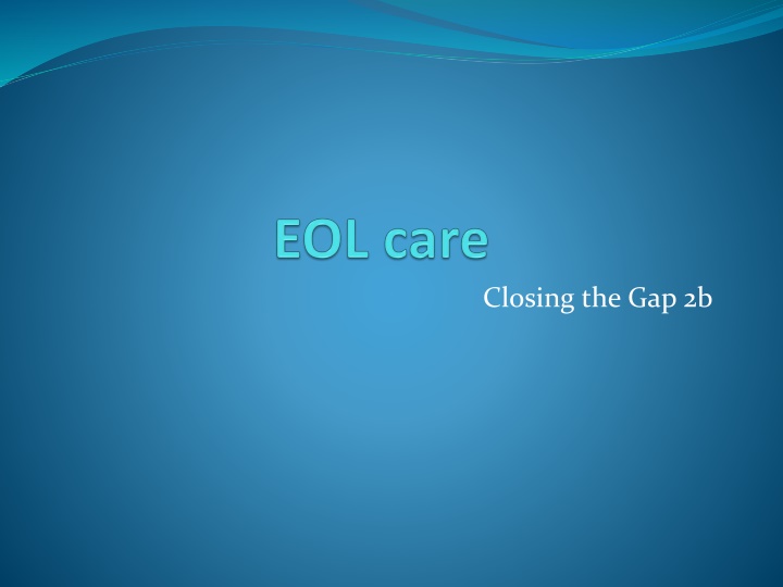 Palliative Care Approach for Ovarian Cancer Patient: A Case Study