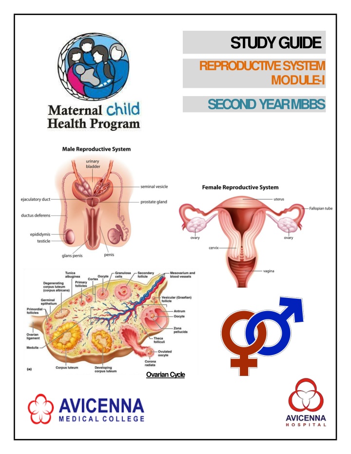 The Ovarian Cycle in Second Year MBBS - Study Guide