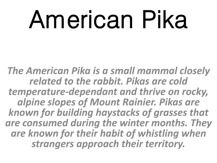 Challenges Faced by American Pikas in a Changing Climate