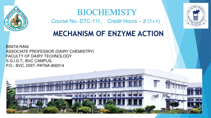 Enzyme Action: Mechanisms and Models