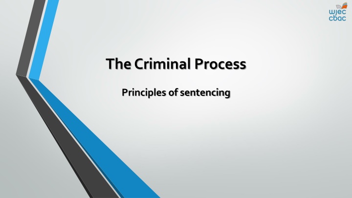 Sentencing in the Criminal Justice System