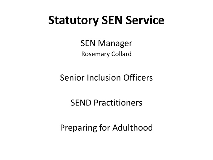 Comprehensive SEN Support System Overview