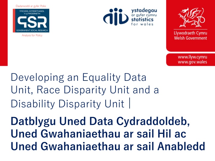 Developing Equality, Race Disparity, and Disability Disparity Units