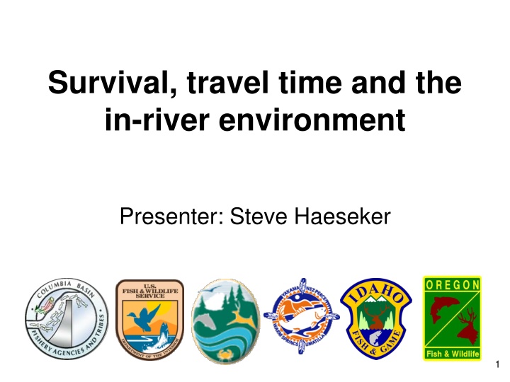 Fish Migration Dynamics in River Environments