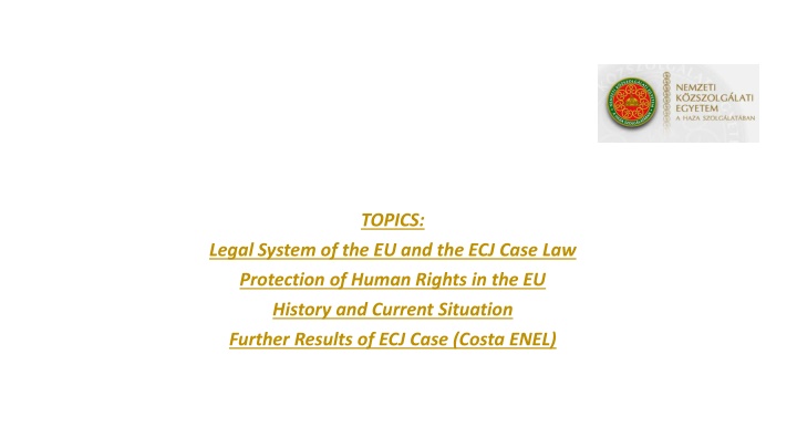 Evolution of Human Rights Protection in the EU