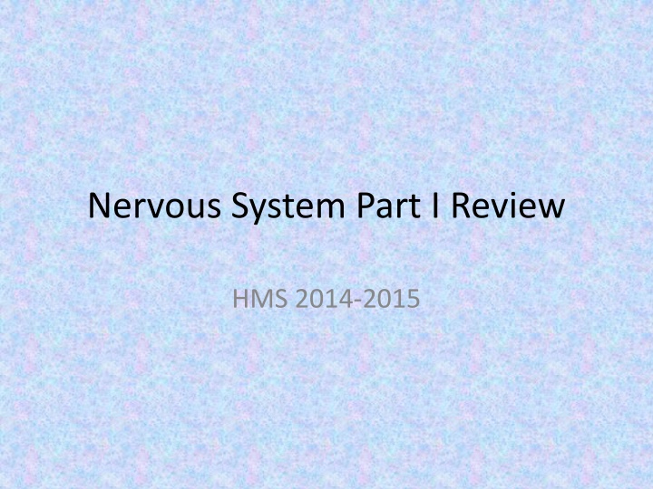 The Basics of Human Nervous System