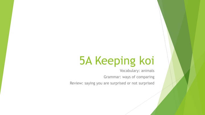 Animals and Grammar in Module 5