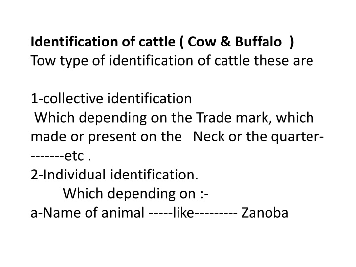 Cattle Identification Methods and Characteristics Explained