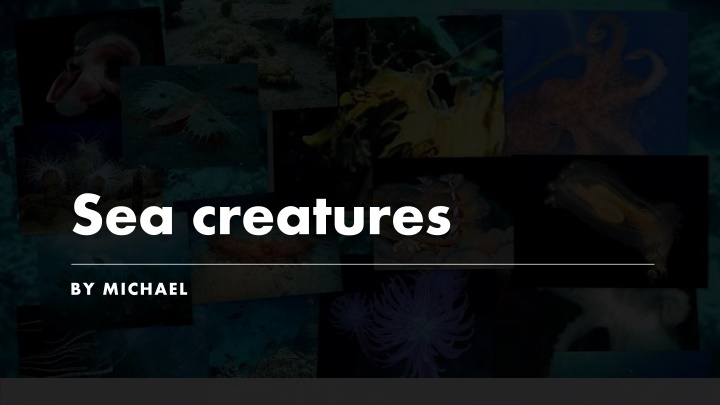 Fascinating Deep-Sea Creatures Unveiled by Michael